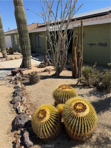 6425 Indian Cove, 29 Palms, CA 92277
