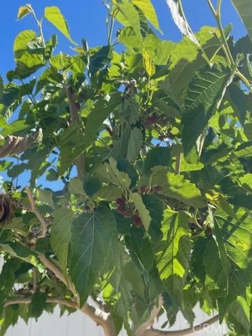 1011 Danbury, Pinon Hills, CA 92372