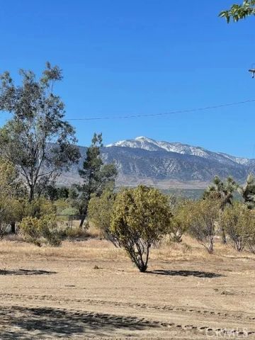 1011 Danbury, Pinon Hills, CA 92372