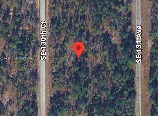 Lot 49 SE Lot 49 130th Court, Dunnellon, FL 34431