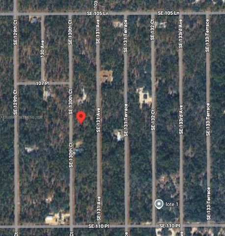Lot 49 SE Lot 49 130th Court, Dunnellon, FL 34431