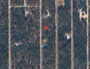 Lot 49 SE Lot 49 130th Court, Dunnellon, FL 34431