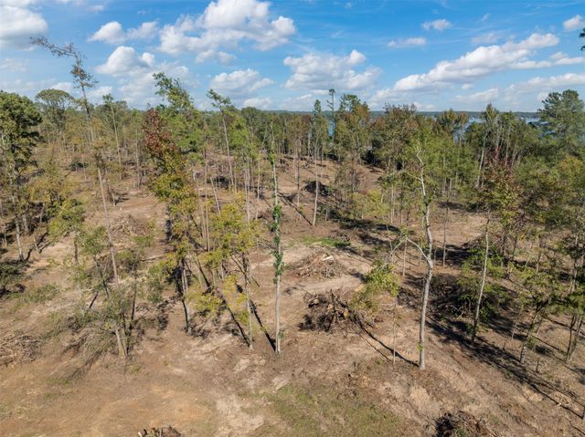 17446 Pintail 20A, Flint, TX 75762