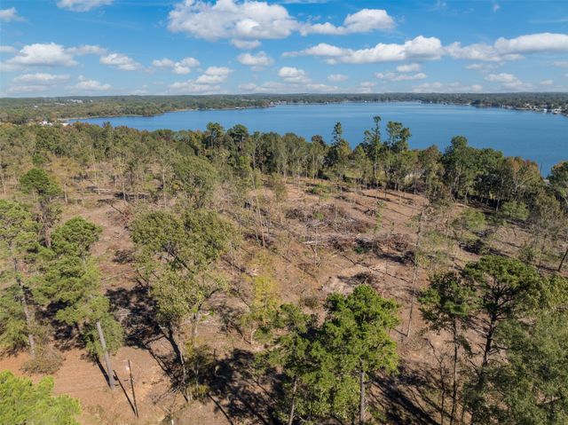 17446 Pintail 20A, Flint, TX 75762