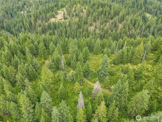 19960 N Mt Spokane Park Dr, Mead, WA 99021