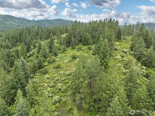 19960 N Mt Spokane Park Dr, Mead, WA 99021