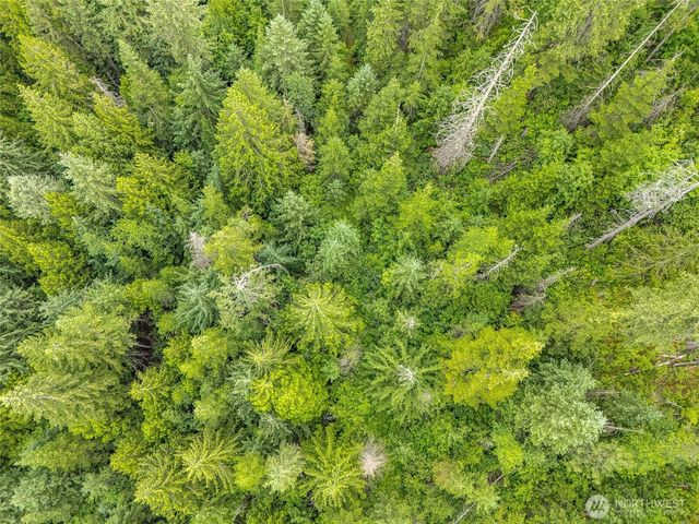 19960 N Mt Spokane Park Dr, Mead, WA 99021