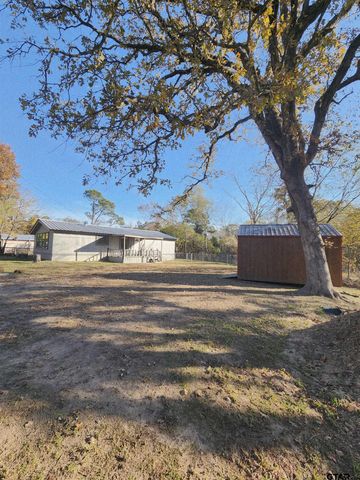 7679 Lindy Lane, Frankston, TX 75763