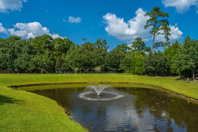 507 Hemingway Circle, Summerville, SC 29483