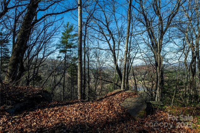 TBD Three Mile Knob Road L1, Brevard, NC 28712