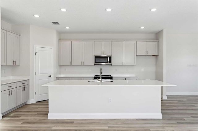 10322 SURREY ROSE DRIVE, San Antonio, FL 33576