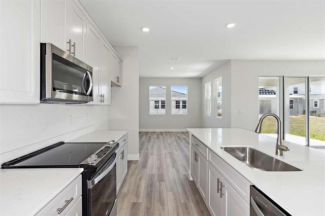 10322 SURREY ROSE DRIVE, San Antonio, FL 33576