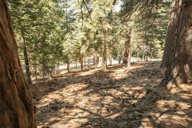 30908 Glen Oak, Running Springs, CA 92382