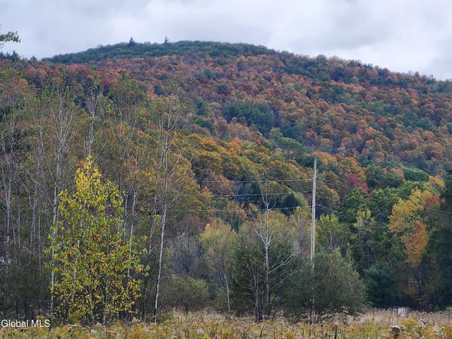 196 County Highway 123, Mayfield, NY 12117