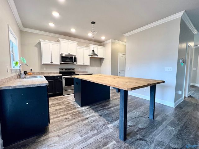 15692 Cold Branch Circle, Harvest, AL 35749