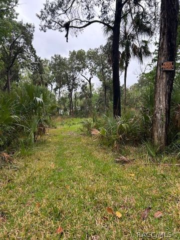 11070 W Bareto Lane, Homosassa, FL 34448