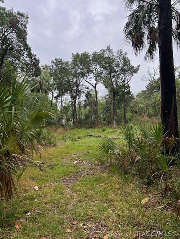 11070 W Bareto Lane, Homosassa, FL 34448