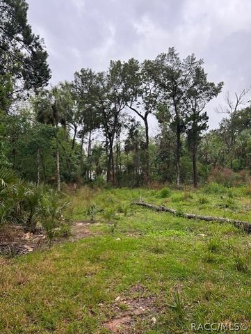 11070 W Bareto Lane, Homosassa, FL 34448