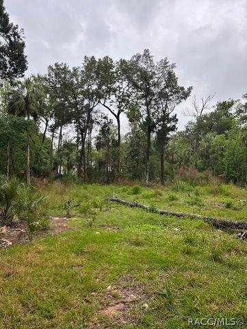 11070 W Bareto Lane, Homosassa, FL 34448