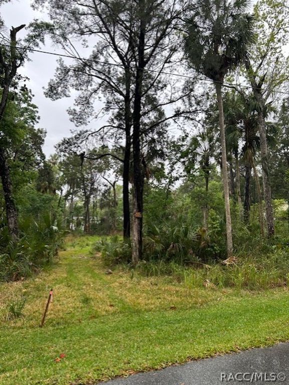 11070 W Bareto Lane, Homosassa, FL 34448