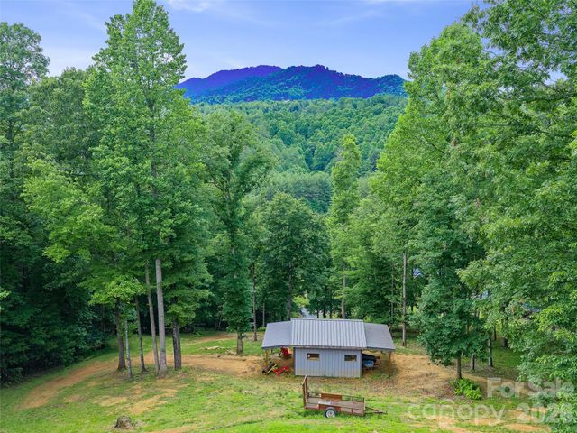 109 Tall Timber Lane, Green Mountain, NC 28740