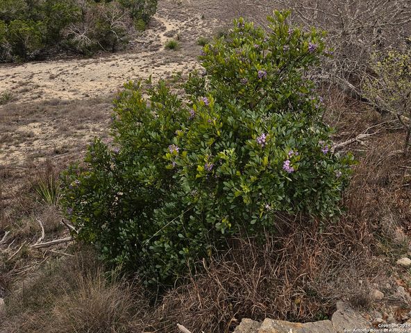 LOT 75A HIGH POINT RANCH RD, Boerne, TX 78006