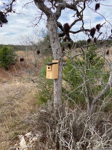 1629 canyon, Spring Branch, TX 78070