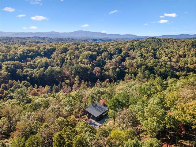 65 Wolf Creek Heights, Mineral Bluff, GA 30559