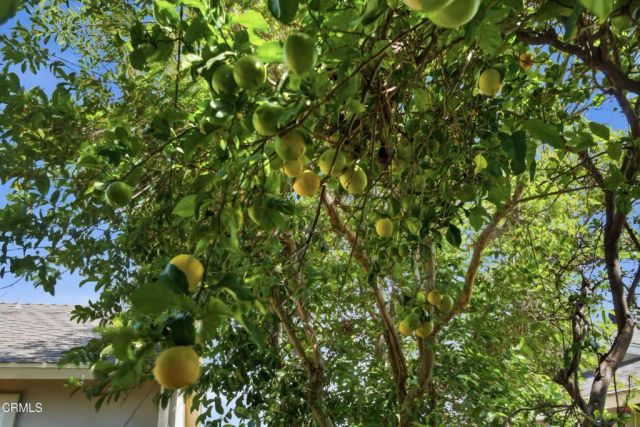 2774 Dumetz Street, Camarillo, CA 93010