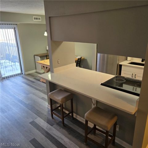 8104 Puritan Drive 52-C, Mentor, OH 44060