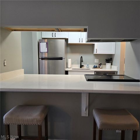 8104 Puritan Drive 52-C, Mentor, OH 44060