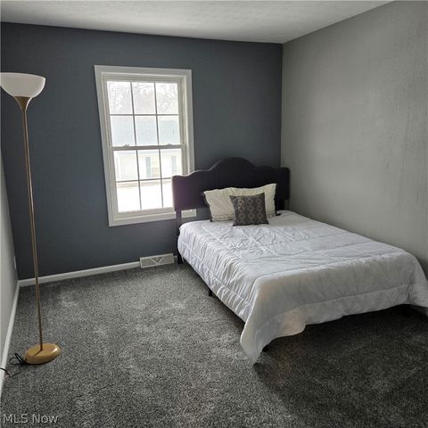 8104 Puritan Drive 52-C, Mentor, OH 44060