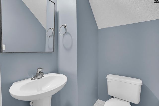 363 Eagle Pointe Drive, Chapin, SC 29036