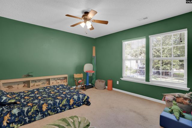 363 Eagle Pointe Drive, Chapin, SC 29036