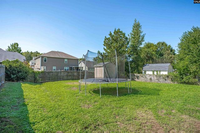 363 Eagle Pointe Drive, Chapin, SC 29036