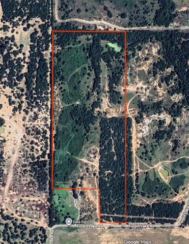 000 Turpin Lake Road, Poolville, TX 76487