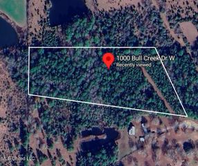 1000 W Bull Creek Drive, Perkinston, MS 39573