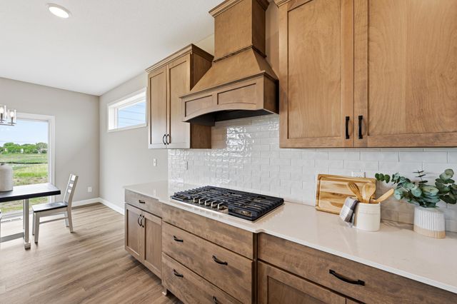 4617 89th Street NE, Monticello, MN 55362