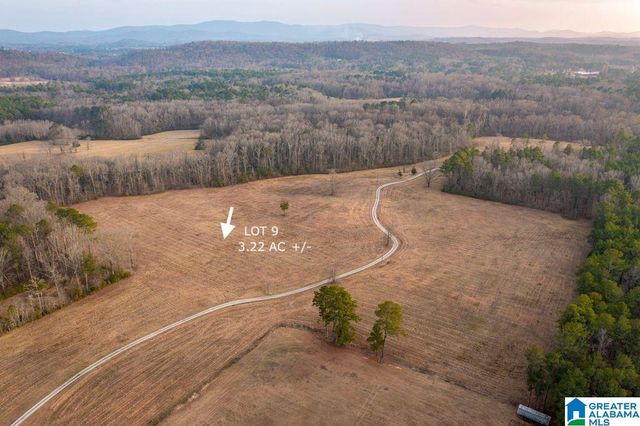 Lot 9 CEDAR SPRINGS DRIVE, Jacksonville, AL 36265