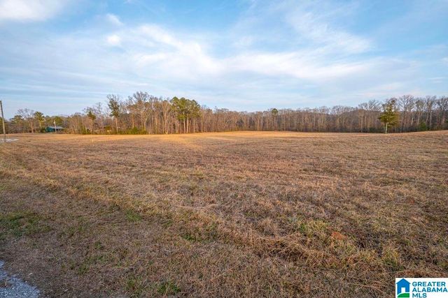 Lot 9 CEDAR SPRINGS DRIVE, Jacksonville, AL 36265