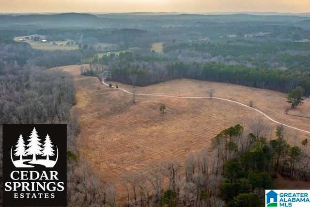 Lot 9 CEDAR SPRINGS DRIVE, Jacksonville, AL 36265