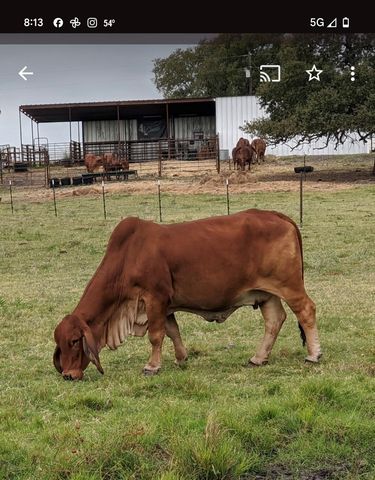 1010 Lcr 612, Mart, TX 76664