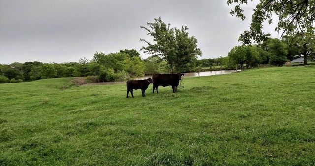 1010 Lcr 612, Mart, TX 76664