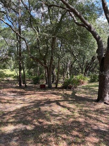 9273 SW 197TH CIR, Dunnellon, FL 34432