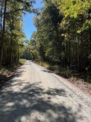 0 Diamond Road, Ellerslie, GA 31831