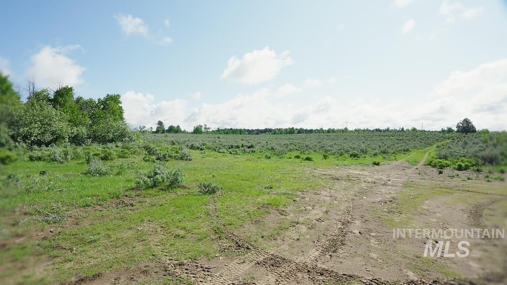 1555 Sadorus Hill Road, Ashton, ID 83420 photo 9