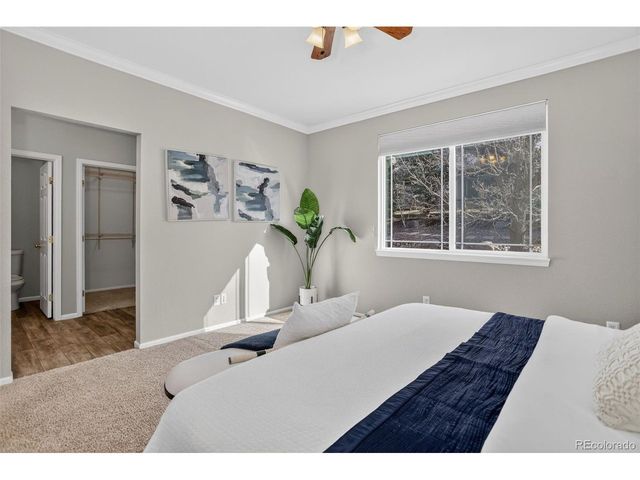 2254 Broadleaf Loop, Castle Rock, CO 80109