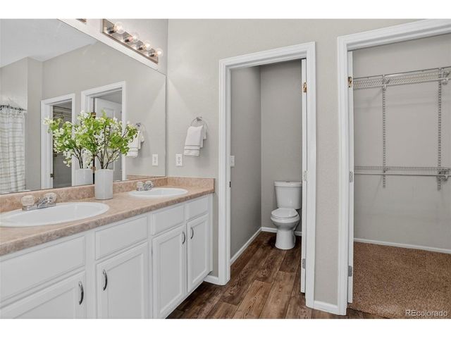 2254 Broadleaf Loop, Castle Rock, CO 80109