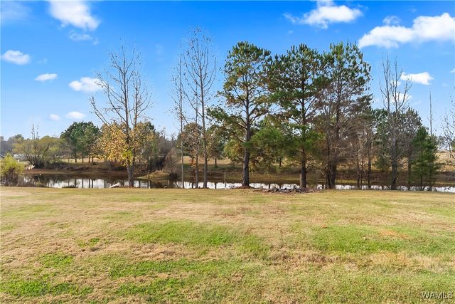 11113 Patton Circle, Northport, AL 35475