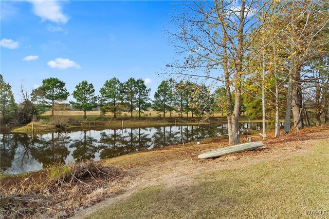 11113 Patton Circle, Northport, AL 35475